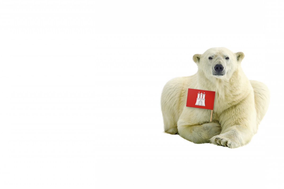 Eisbär mit Hamburg-Wimpel